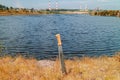 Cold weapons a long knife machete stuck in the ground on the shore of the pond on the other side of the industrial zone with pipes