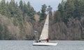 Sailing In Winter On Budd Inlet, Puget Sound, Olympia Washington Royalty Free Stock Photo