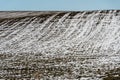 Cold weather and snowfall destroyed the young wheat crop. The sown field with agricultural crops was covered with snow and ice. Royalty Free Stock Photo