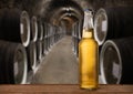 cold wet beer bottle in the cellar with vintage kegs Royalty Free Stock Photo