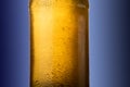 Cold wet beer bottle Royalty Free Stock Photo