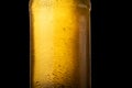 Cold wet beer bottle Royalty Free Stock Photo