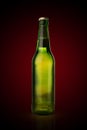 Cold wet beer bottle Royalty Free Stock Photo