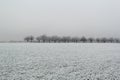 Cold white landscape of snow-covered field and apple orchard, village in winter, concept of seasonal changes in nature, snowfall, Royalty Free Stock Photo