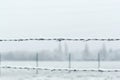 Cold white landscape of snow-covered fields behind rows of barbed wire in winter, the concept of seasonal changes in nature, Royalty Free Stock Photo