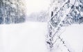 Cold white landscape of snowy forest behind rows of barbed wire in winter, concept of seasonal changes in nature, protection of Royalty Free Stock Photo