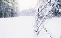 Cold white landscape of snowy forest behind rows of barbed wire in winter, concept of seasonal changes in nature, protection of Royalty Free Stock Photo