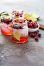 Cold winter cocktail with cranberry and lime