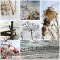 Cold winter collage