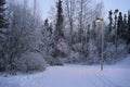 Winter photo with street lamps on