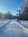 Cold winter day at sunny day - walk path in Panevezys park Lithuania Royalty Free Stock Photo