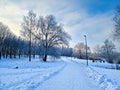 Cold winter day at sunny day - walk path in Panevezys park Lithuania Royalty Free Stock Photo