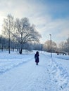 Cold winter day at sunny day - walk path in Panevezys park Lithuania Royalty Free Stock Photo
