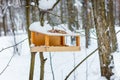 Bird feeders for forest and park birds