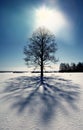 Cold winter forest landscape snow Royalty Free Stock Photo