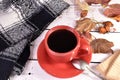 Scarf and hot tea in a cup on the table. Royalty Free Stock Photo