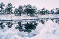 Cold winter landscape frozen snow swamp Kemeri Latvia