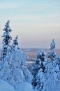 Cold winter landscape with snow-covered trees and wintry background