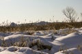 Winter with lots of snow in Russian forest