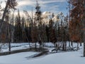 Cold winter morning in the Idaho wilderness