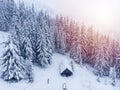 Cold winter morning in mountain foresty with snow covered fir trees. tatras, slovakia. Aerial view. Cabin alone in snow forest.