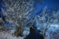 Cold Winter Night in Finland Royalty Free Stock Photo