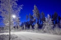 Cold Winter Night in Finland Royalty Free Stock Photo