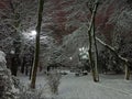 Cold winter on Pushkinskaya Street in Rostovv