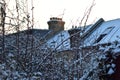 A snow covered tree and roofs on a snowy day