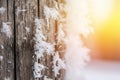 Cold winter season: Close up of a snowflake on a timber needle Royalty Free Stock Photo