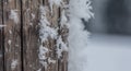 Cold winter season: Close up of a snowflake on a timber needle Royalty Free Stock Photo