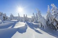 Cold winter sunny day. Mysterious, secret, fantastic, world of mountains. On the lawn covered with snow the nice trees. Royalty Free Stock Photo