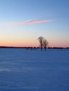 A Cold Winter Sunset on the Farm in February