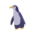 Antarctic penguin bird isolated on white background Royalty Free Stock Photo