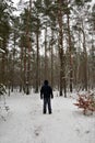 Cold winter walk in nature. A lonely nan in the woods.