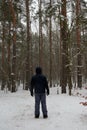 Cold winter walk in nature. A lonely nan in the woods.