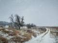 Cold winter weather with fluffy snowflakes falling on a country road among a dry nature field. Tranquil environment with heavy