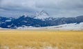 Cold winter winds blow across the scenic prairies of Montana on an overcast day.