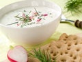 Cold yoghurt soup Royalty Free Stock Photo