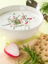 Cold yoghurt soup Royalty Free Stock Photo