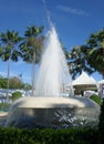 Coldn water in summer garden fountain surround by palm tree Royalty Free Stock Photo