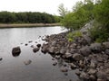 Coldwater ake near Mt St Helens Royalty Free Stock Photo