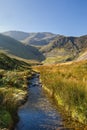 Coledale Beck Royalty Free Stock Photo