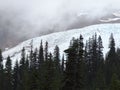 Coleman Glacier, Mount Baker