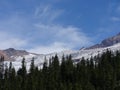 Coleman Glacier