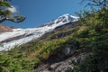 Coleman and Roosevelt Glaciers of Mount Baker from Hogsback trail