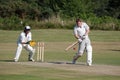 COLEMAN'S HATCH, SUSSEX/UK - JUNE 27 :Village cricket being play Royalty Free Stock Photo