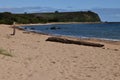 Coles beach devonport tasmania