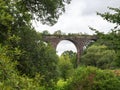 Coles Mill Viaduct, Holsworthy, Devon, glimpsed through trees.