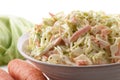Coleslaw Royalty Free Stock Photo